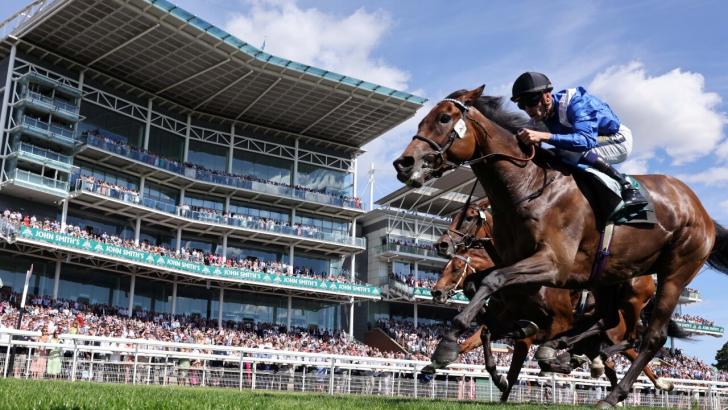 The Prix Dollar favourite Anmaat is unbeaten this year